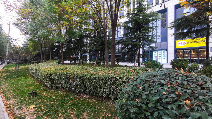 博雅广场外景图