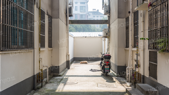 油车路995号外景图