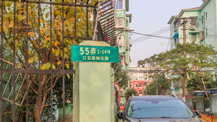 花苑村梅花园外景图