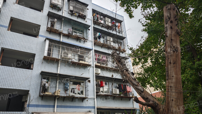 天台路100号外景图