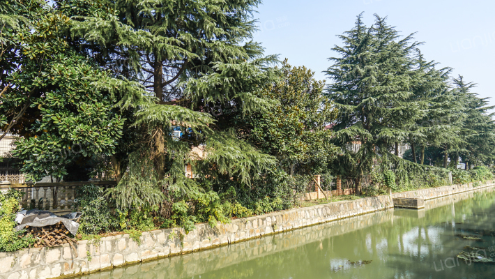 澄湖花园外景图