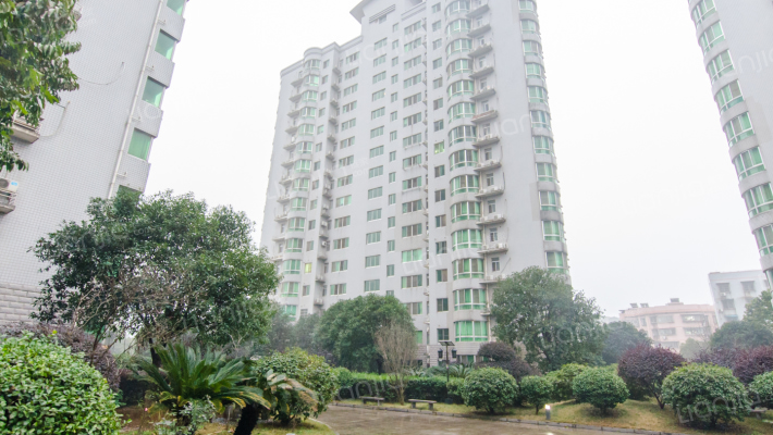 龙柏小区外景图