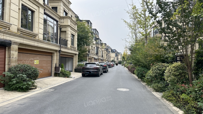 龙山庄园山语墅