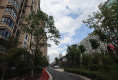 志浩公寓(江海路)户型图实景图