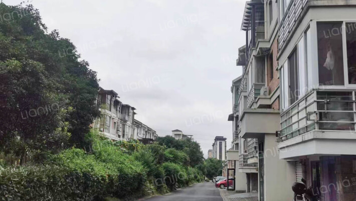 大华玲珑苑外景图