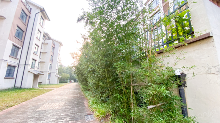 左岸水都外景图