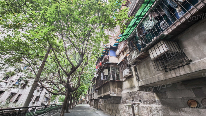 钢锋后村外景图