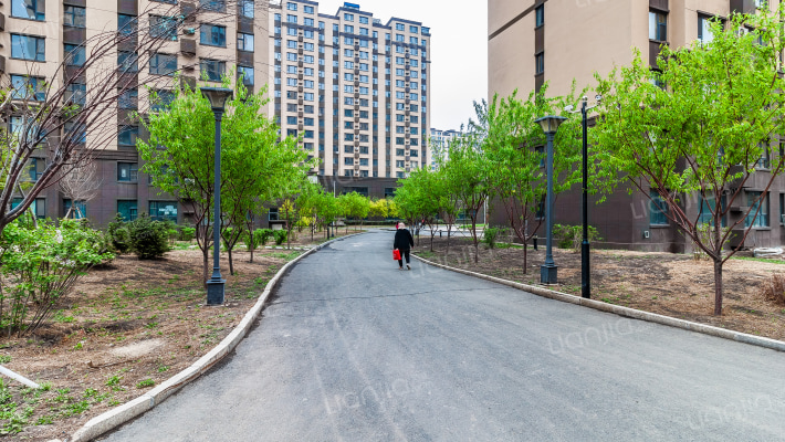 八一水韵城C区外景图