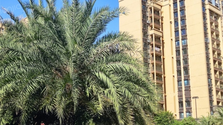 碧桂园狮子洋外景图