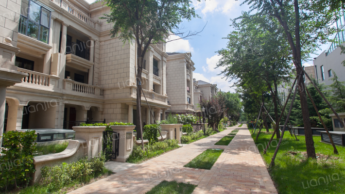 青特城D区外景图