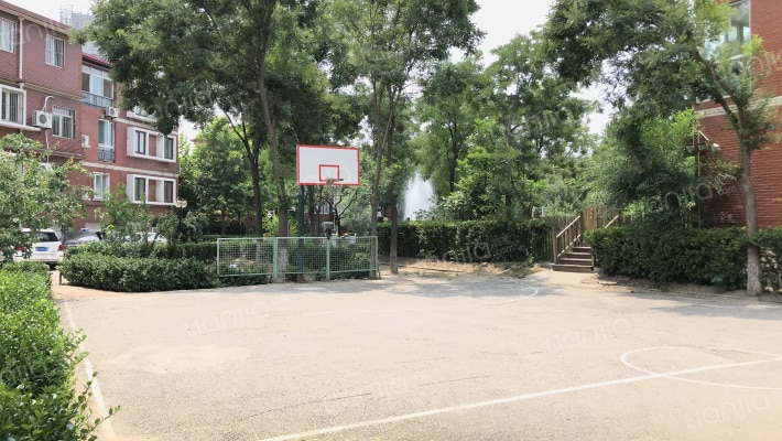 阳光新干线外景图