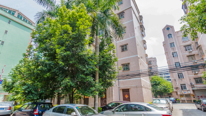 金泰花苑外景图