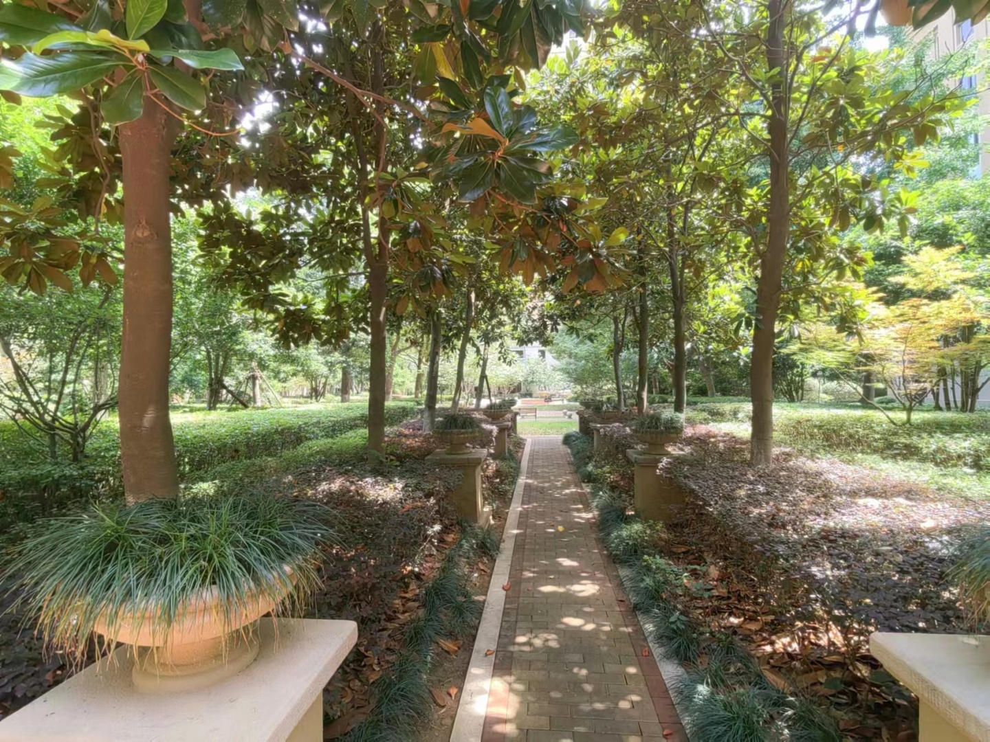 Boyue Fu compound photo 19