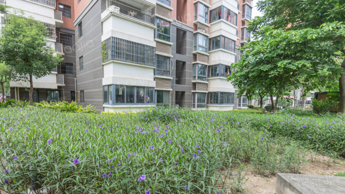 滨水小区三期外景图