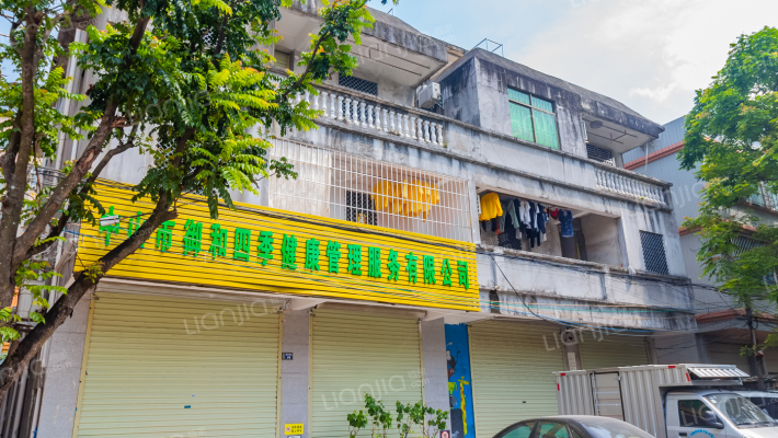 大环村荔枝塘街外景图