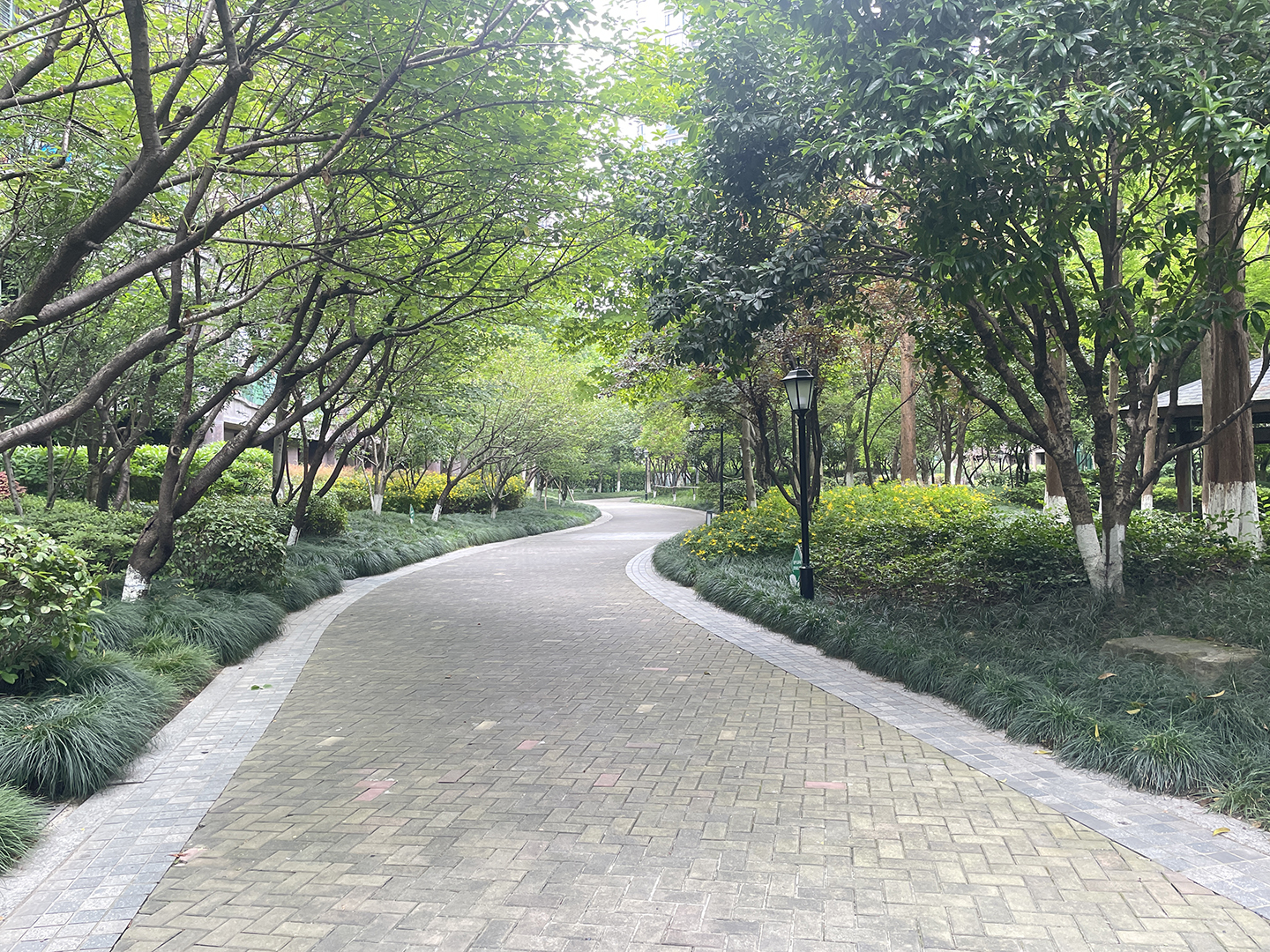 Chunjiang Shidai compound photo 9