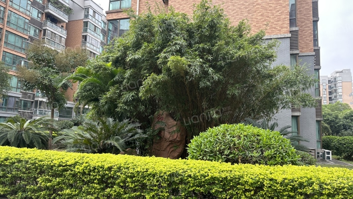 边防小区外景图