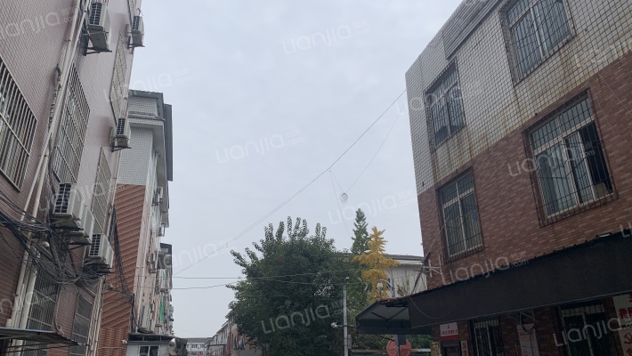 兴盛路90号外景图