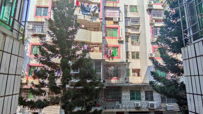 三十八中教师宿舍外景图