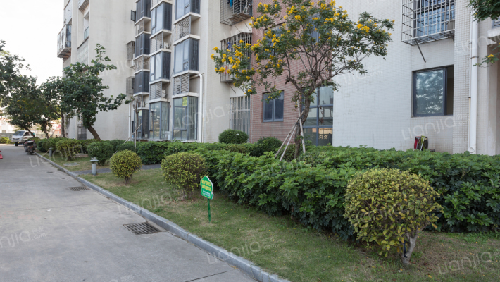 龙翔峰景外景图