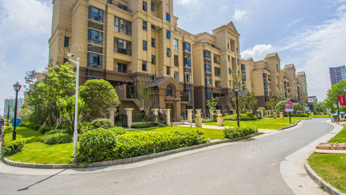 博泰生命树外景图