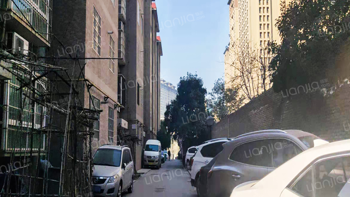 小白杨有色金属家属院外景图