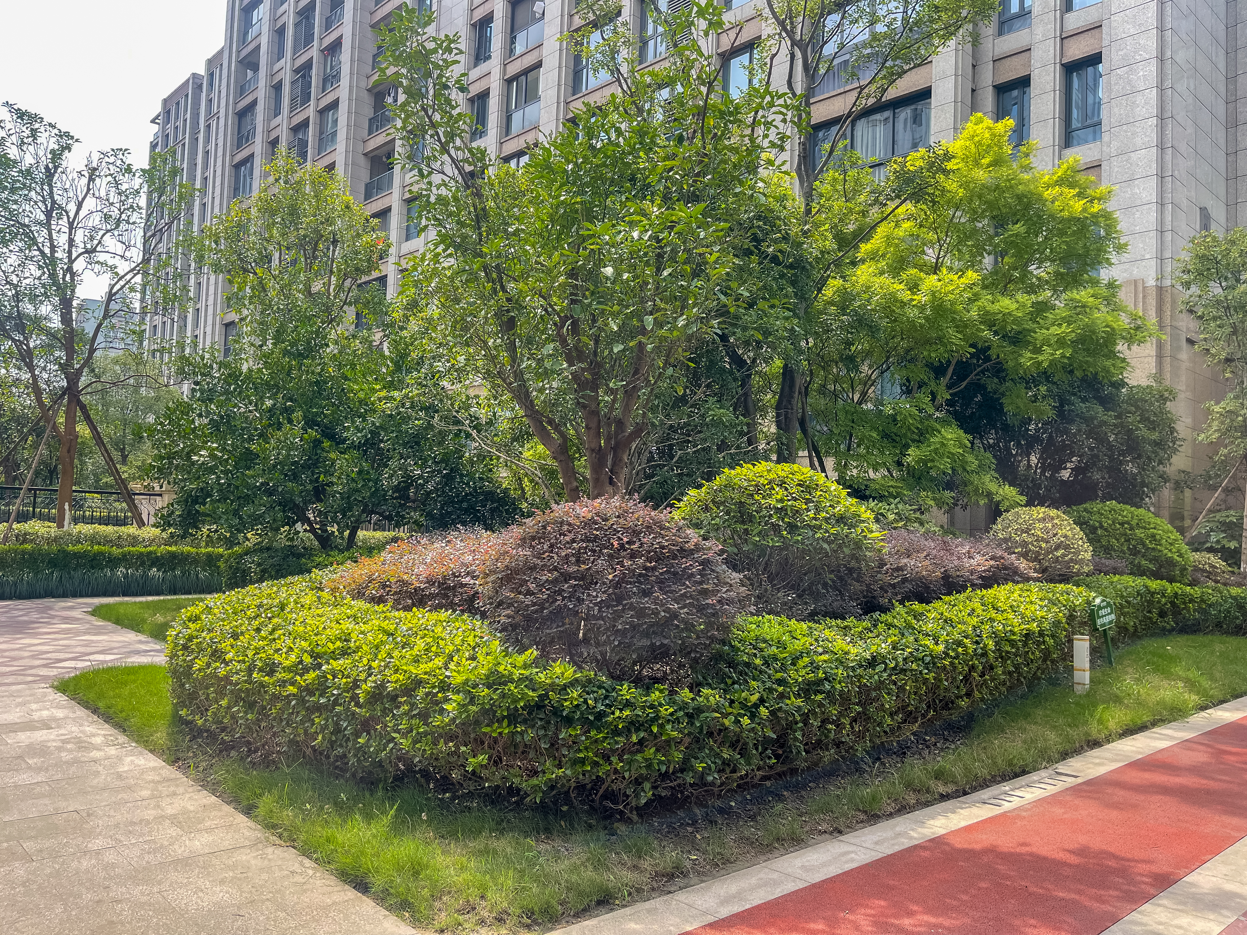 新风悦居小区实景 15