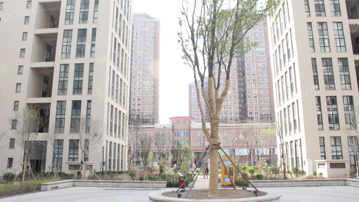 晋丰大厦外景图