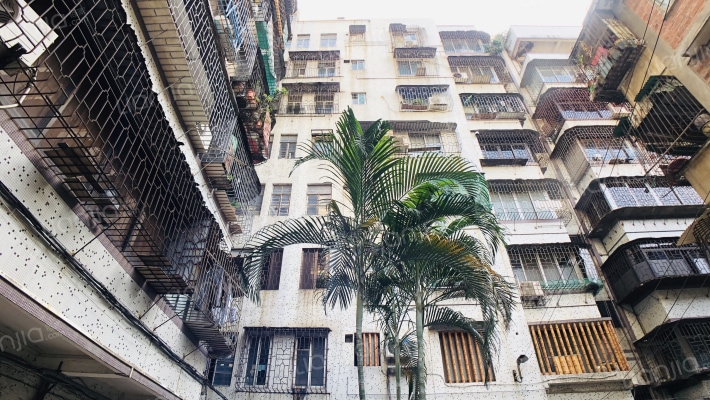 新安街81号外景图