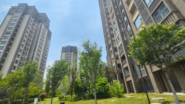 秀茂花园外景图