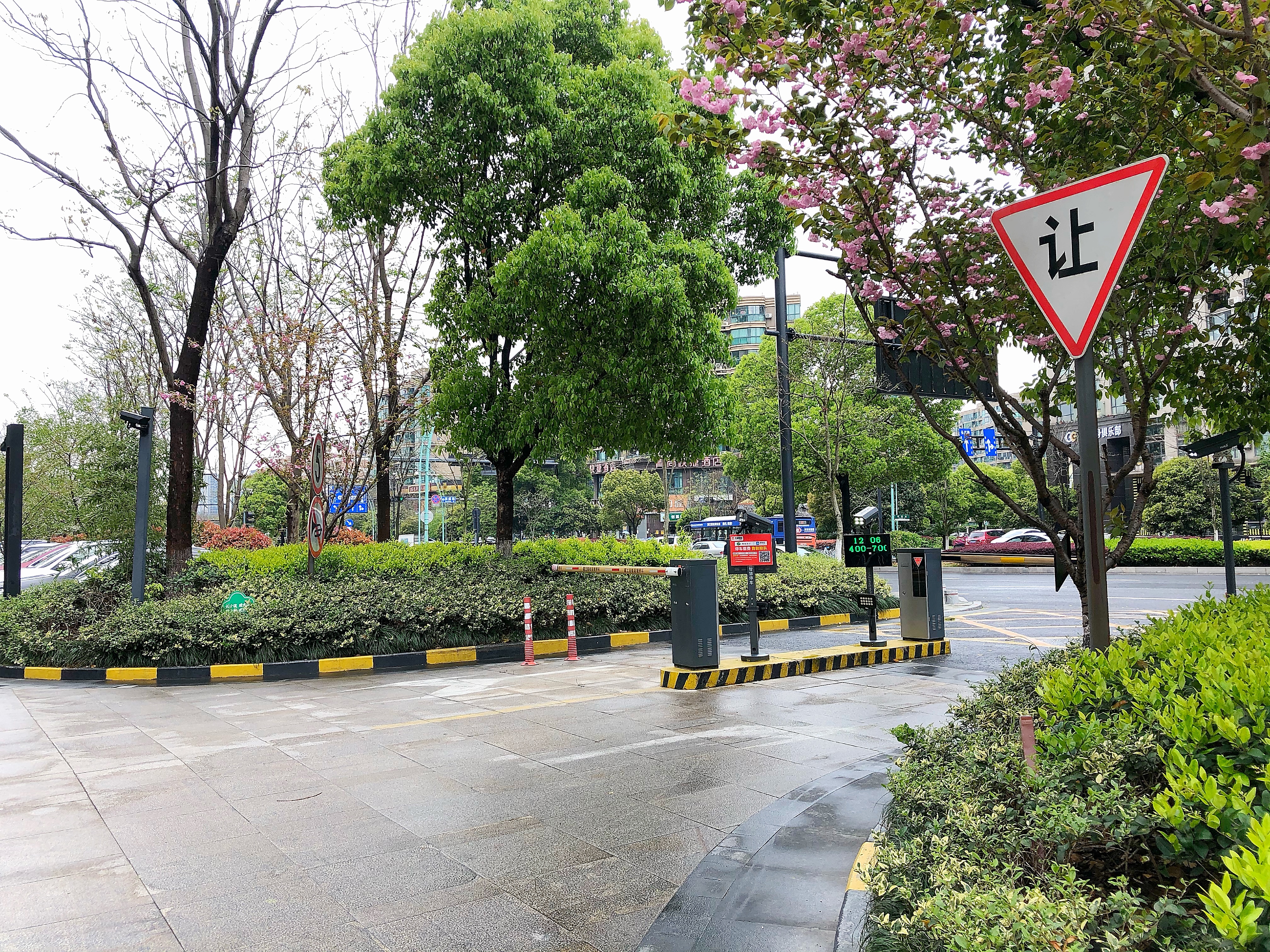 半岛国际小区实景 4