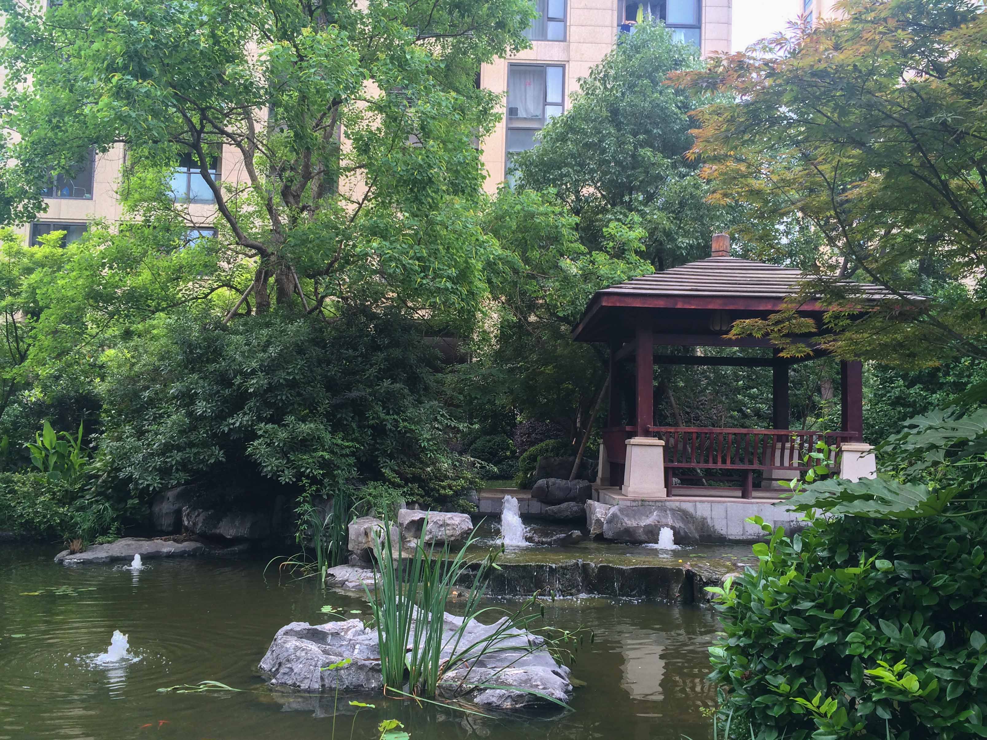 江南望庄小区实景 14