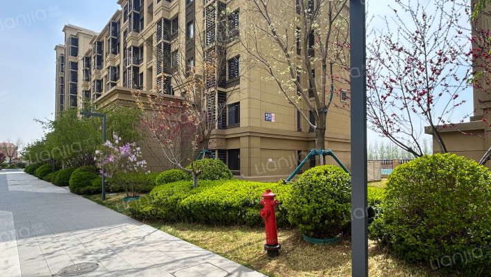 龙湖春江悦茗外景图