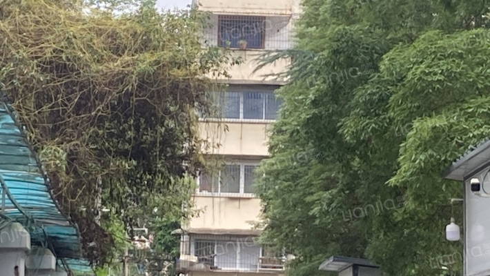 国税局宿舍(龙泉驿)外景图