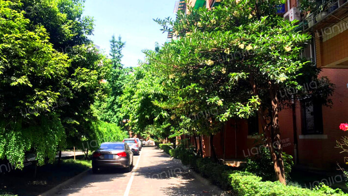 西藏阳光苑外景图