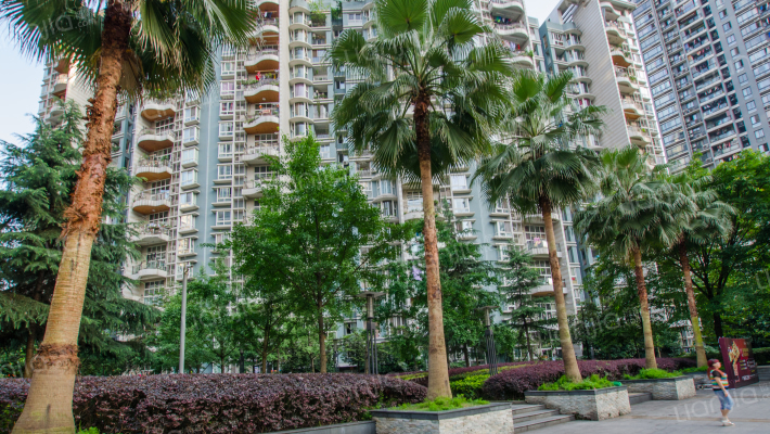 华宇西城丽景外景图