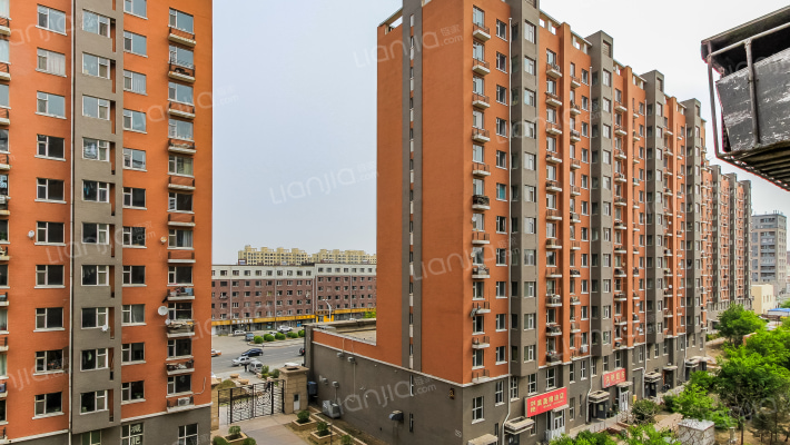 东城国际花园外景图