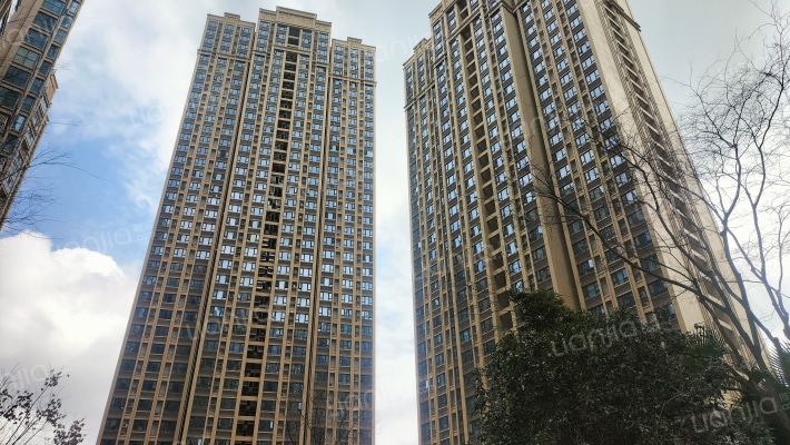 棕榈印象外景图