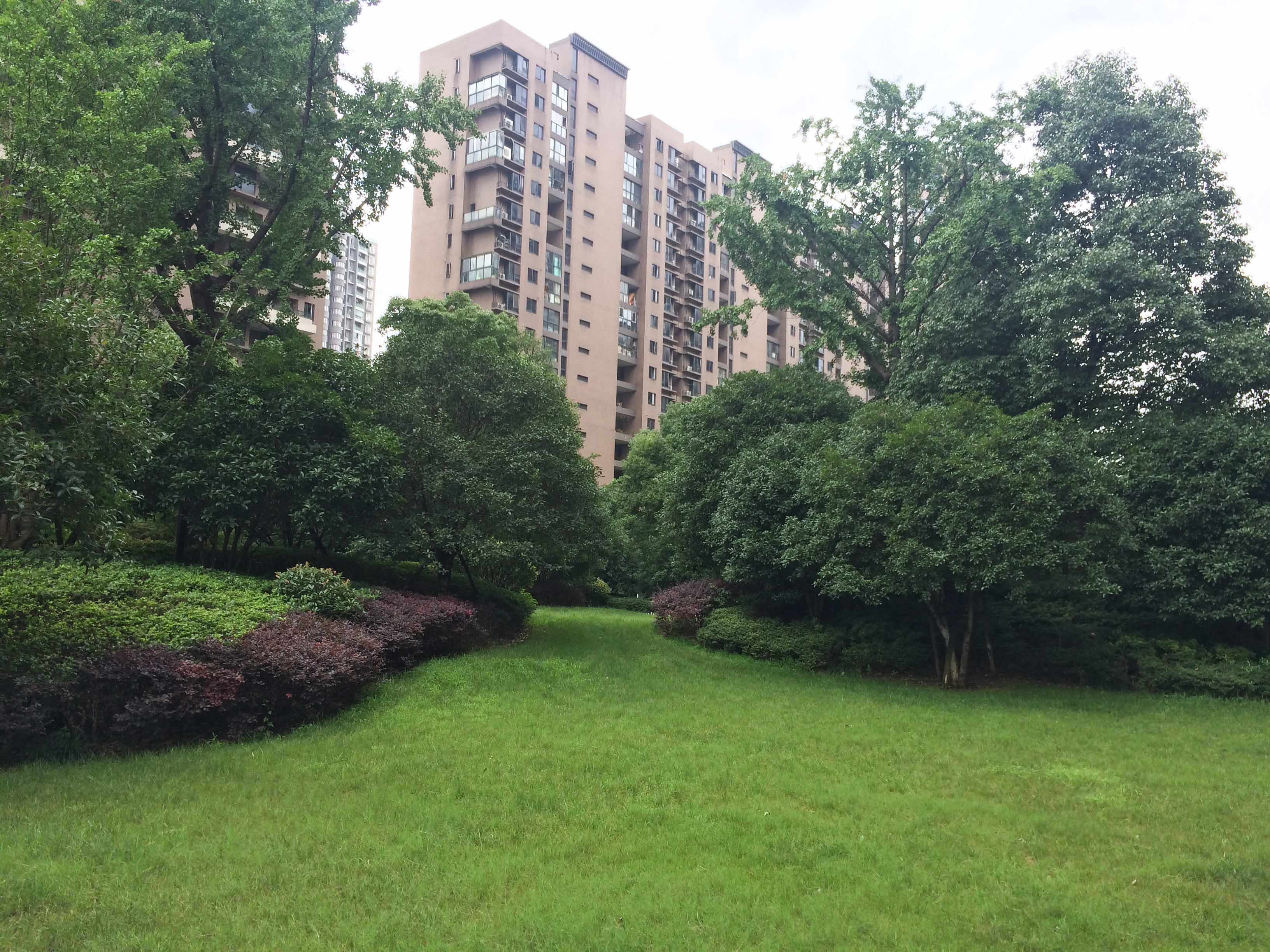 欣盛东方郡小区实景 2