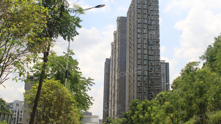 利贞杏园外景图