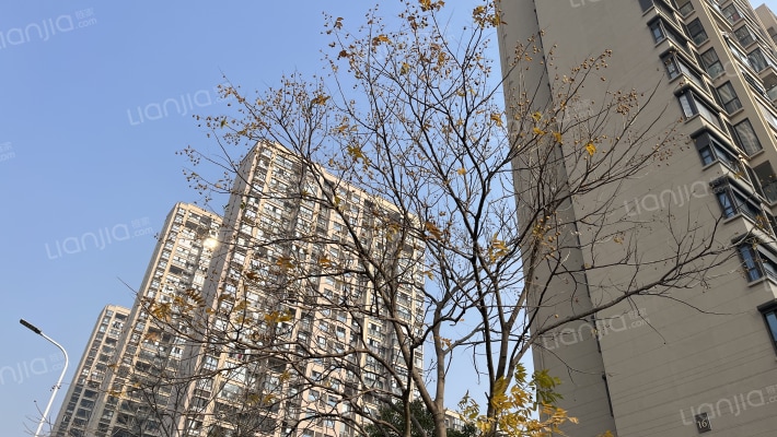 尚林华庭外景图