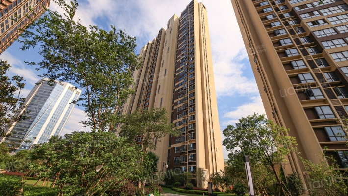 洪大赣江城外景图