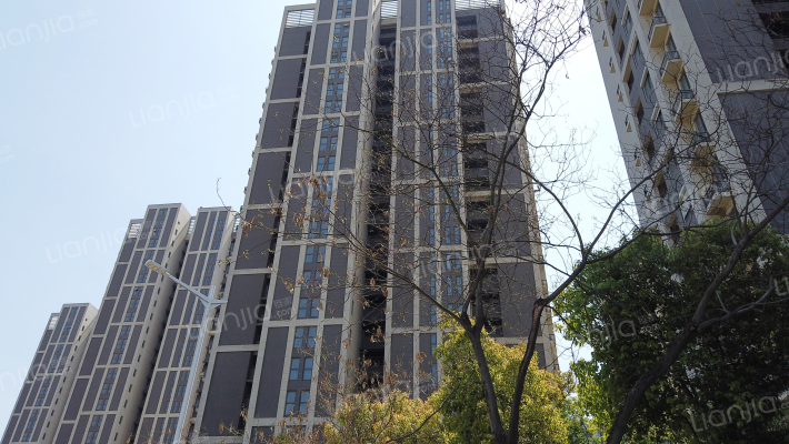 软件谷菁英公寓外景图