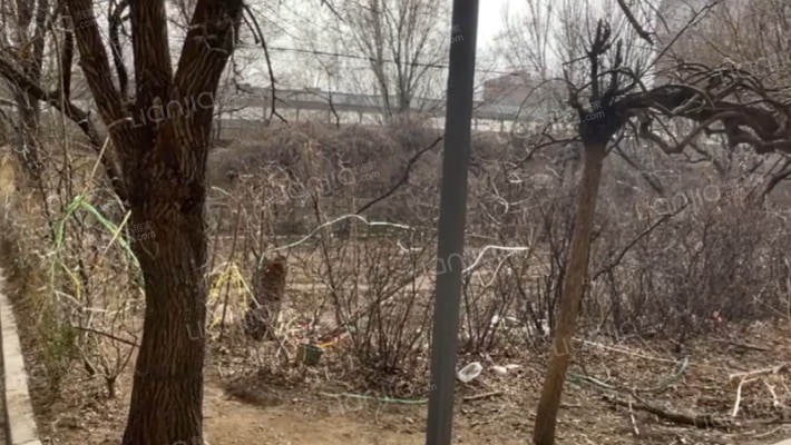 长虹公寓外景图