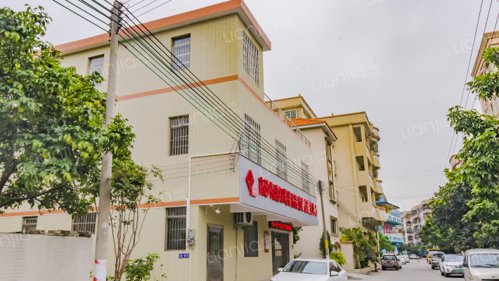 红荔一路外景图