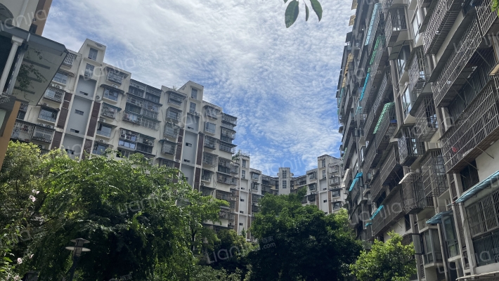 民主小区A2区外景图