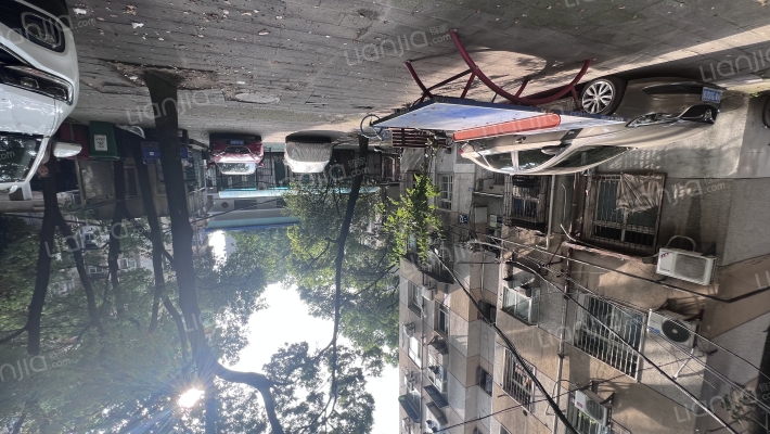施家墩6号老八栋外景图