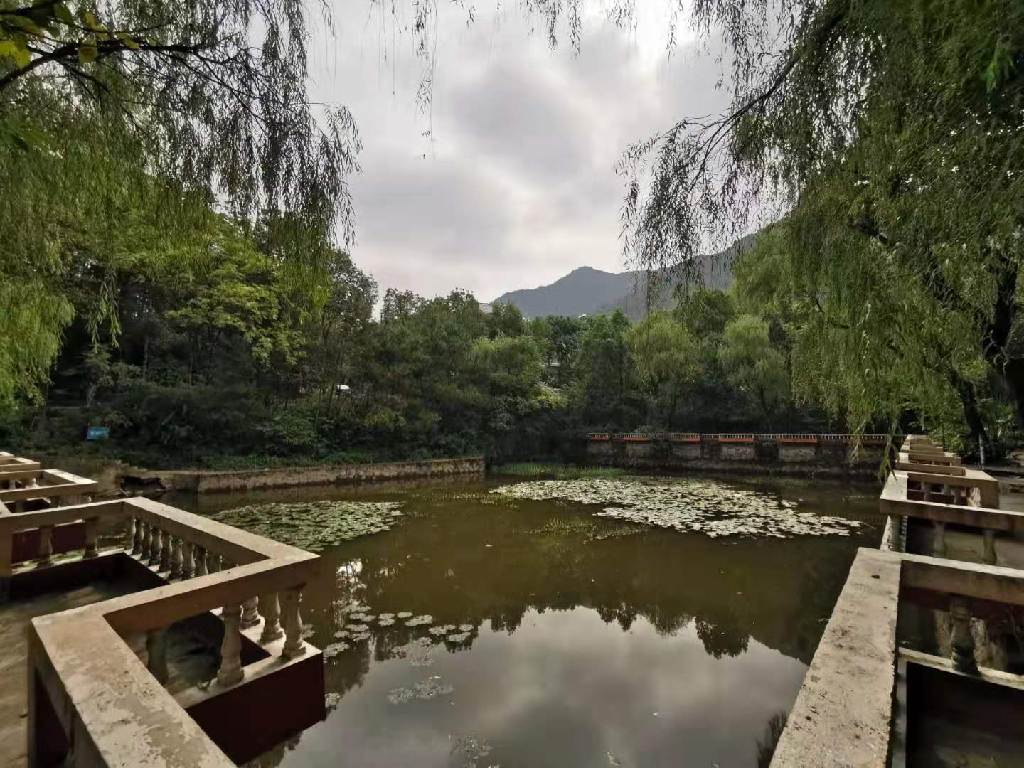 紫云山庄小区实景 12