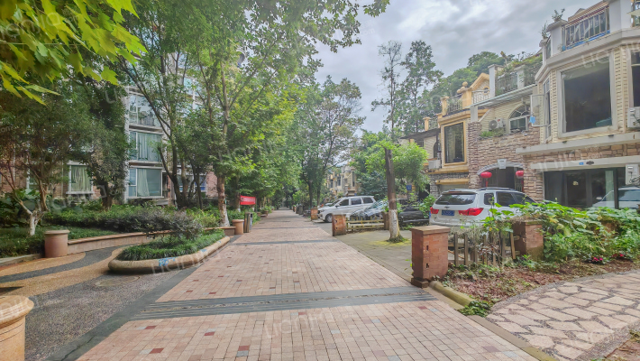 大川水岸外景图