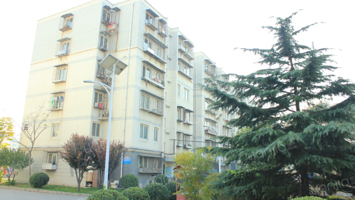 小街之春外景图